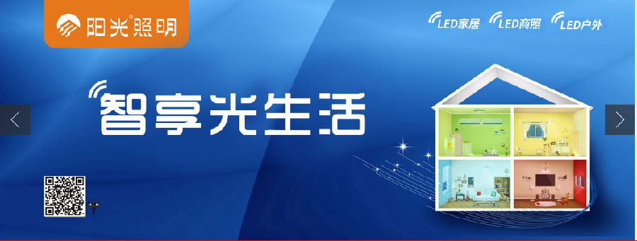 浙江阳光照明电器集团股份有限公司实现企业数据双向流通